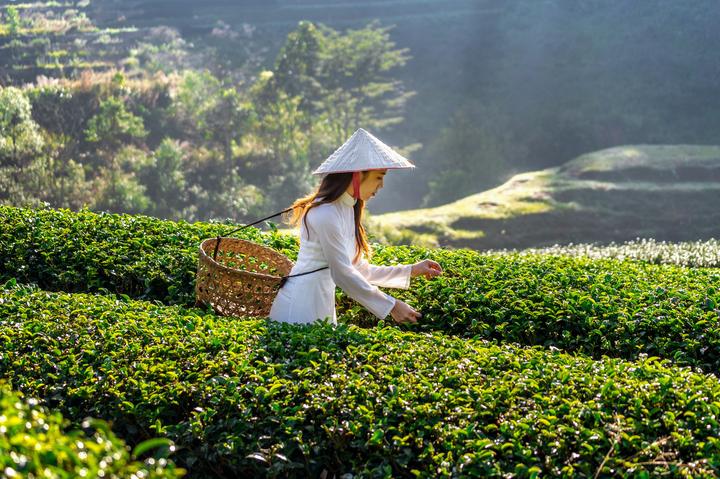 Hotspot Matrix và “Thể thao” và “Preppy”: Tủ đồ giao mùa tươi mới từ Tory Burch