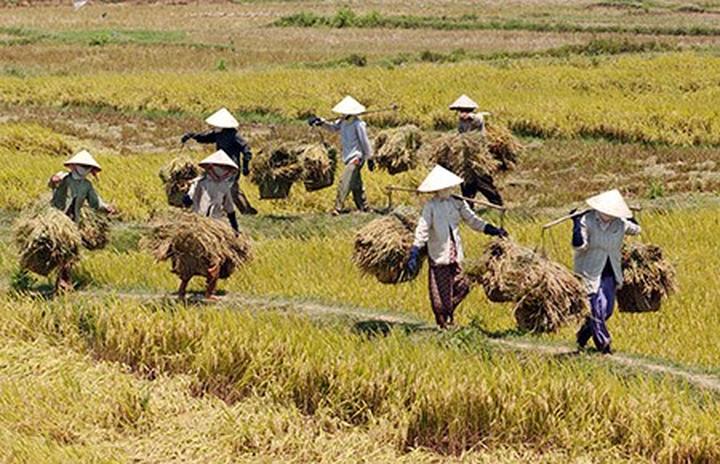 1. Tiêu đề: [Hotspot Matrix] Những cú trở ngại trở thành 