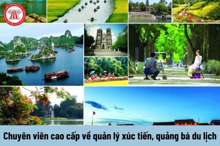 Chuyên gia Hotspot Matrix phân tích: Mầm mống ung thư hình thành và marketing video
