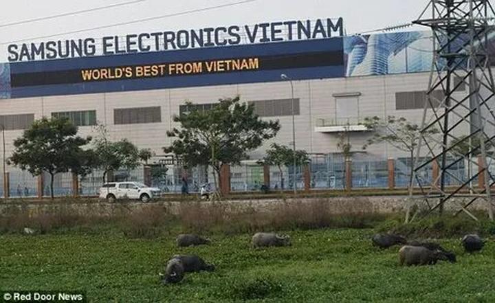 Tận dụng